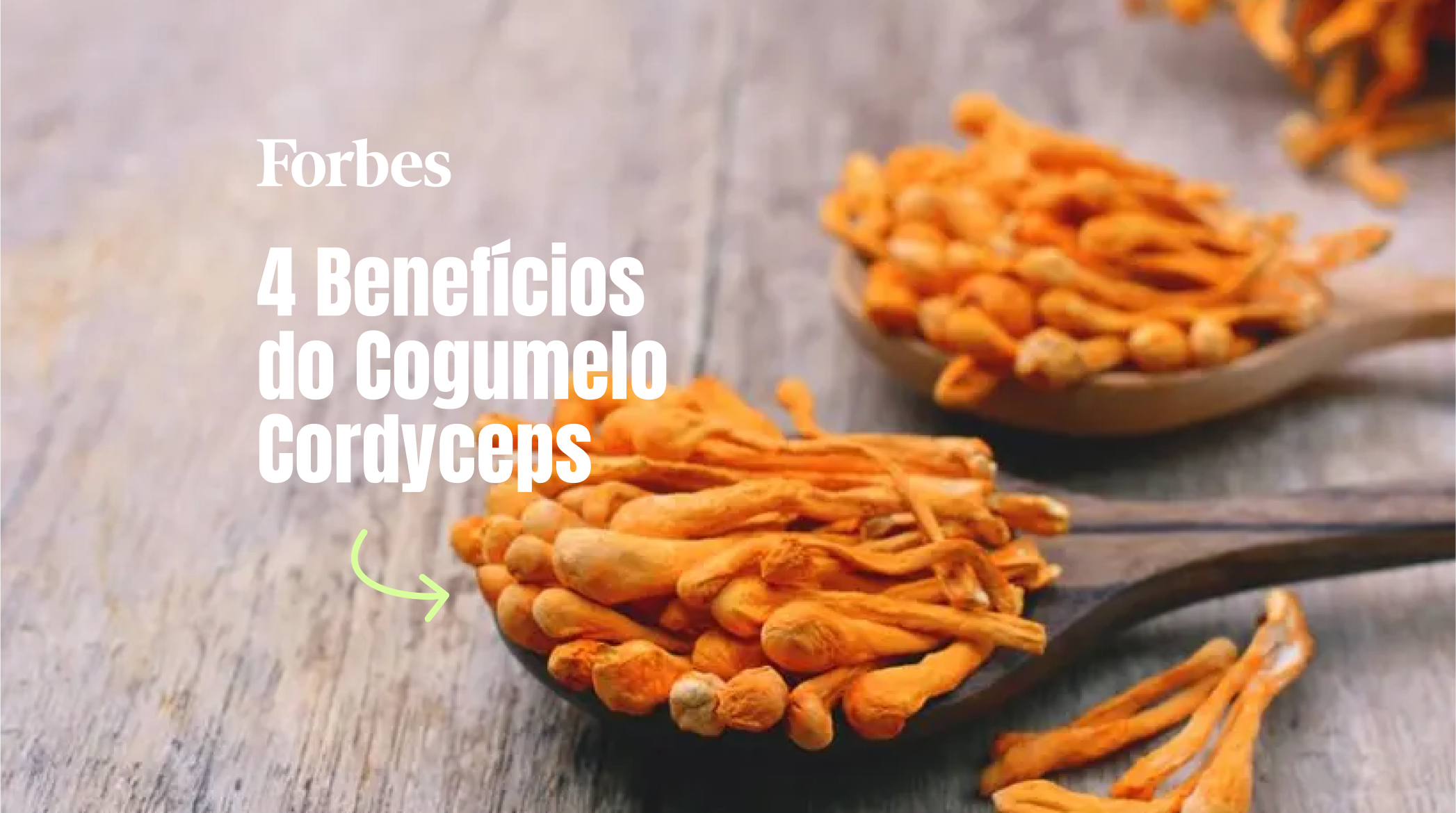 4 Benefícios do Cogumelo Cordyceps, segundo especialistas.