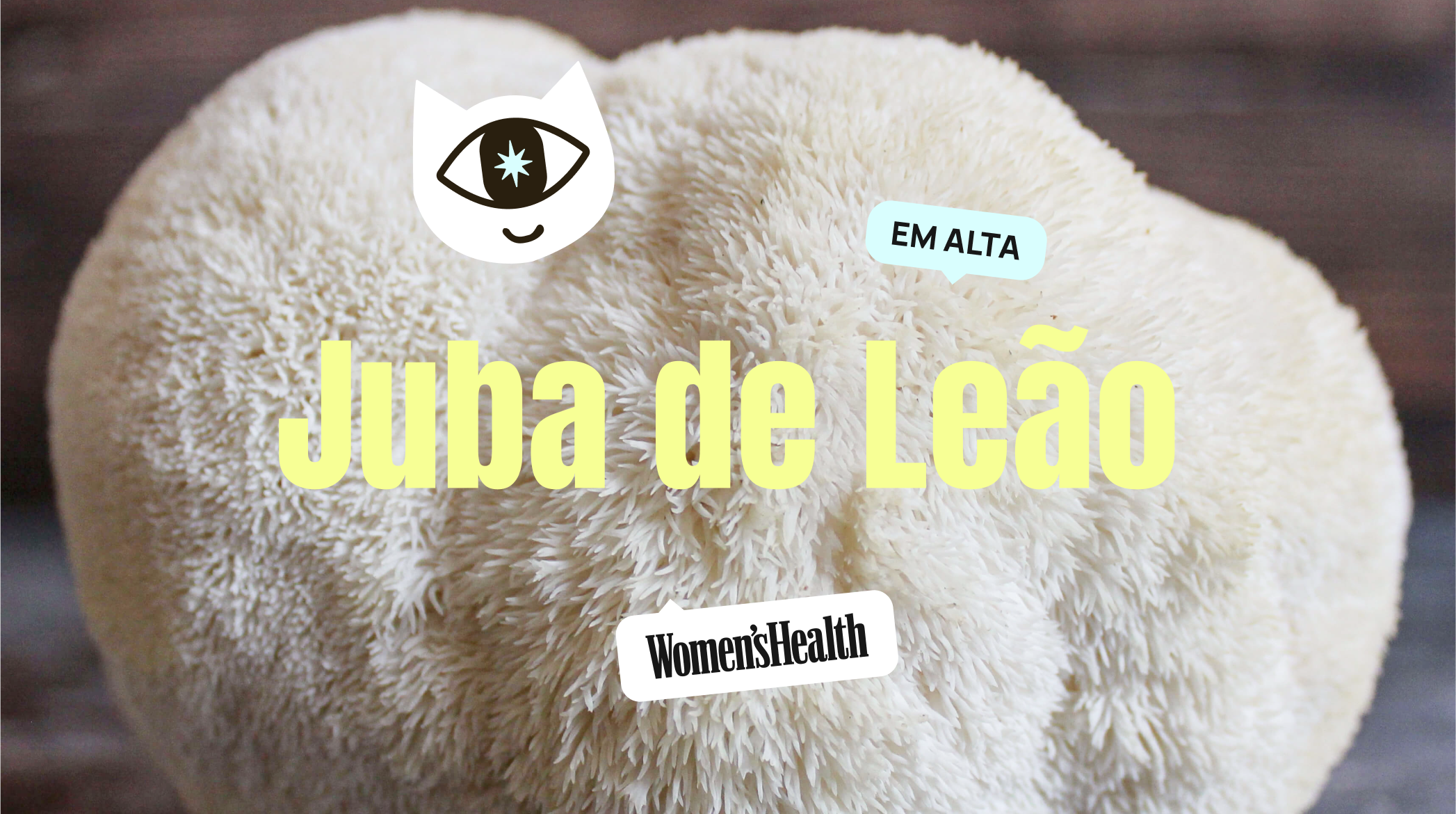 O Cogumelo Juba de Leão está em alta, mas quais são os seus benefícios a saúde ?