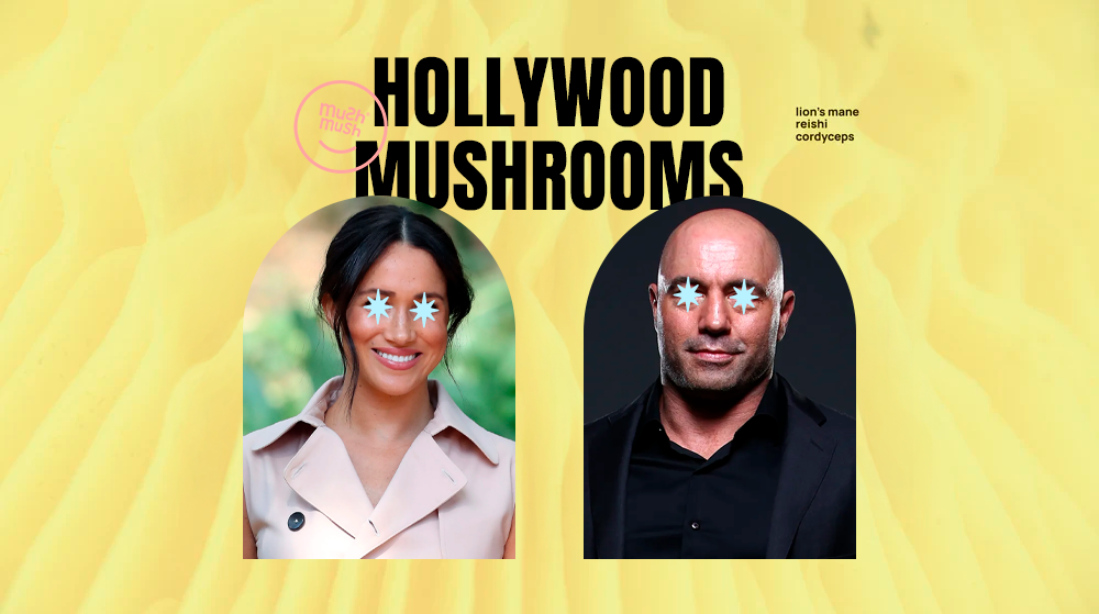 Celebridades e o Fascinante Mundo dos Cogumelos