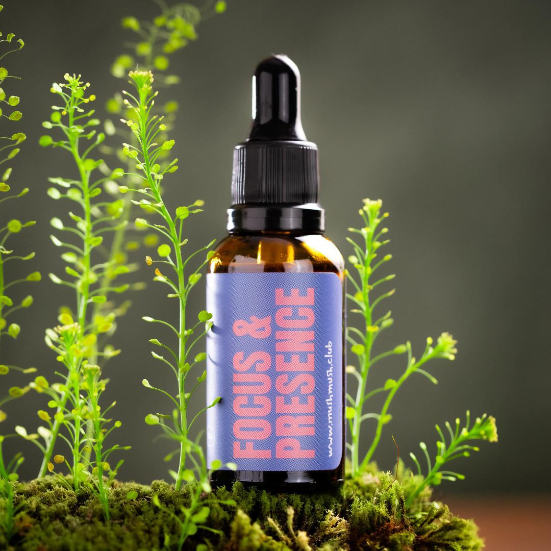Essential Pack - 1 Juba de Leão + 1 Turkey Tail + 1 Cordyceps + 1 Chaga + 1 Reishi