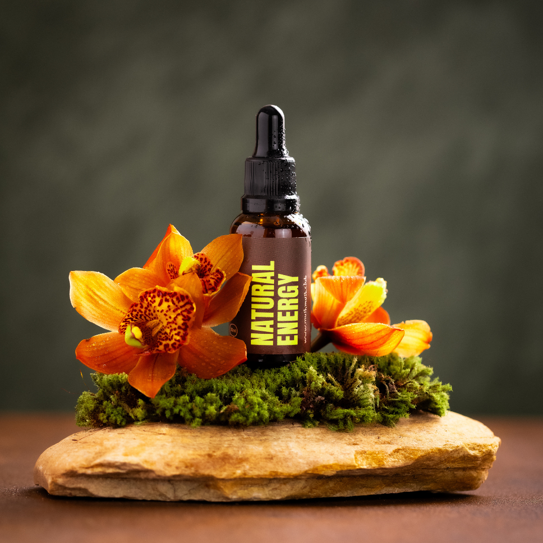 Essential Pack - 1 Juba de Leão + 1 Turkey Tail + 1 Cordyceps + 1 Chaga + 1 Reishi