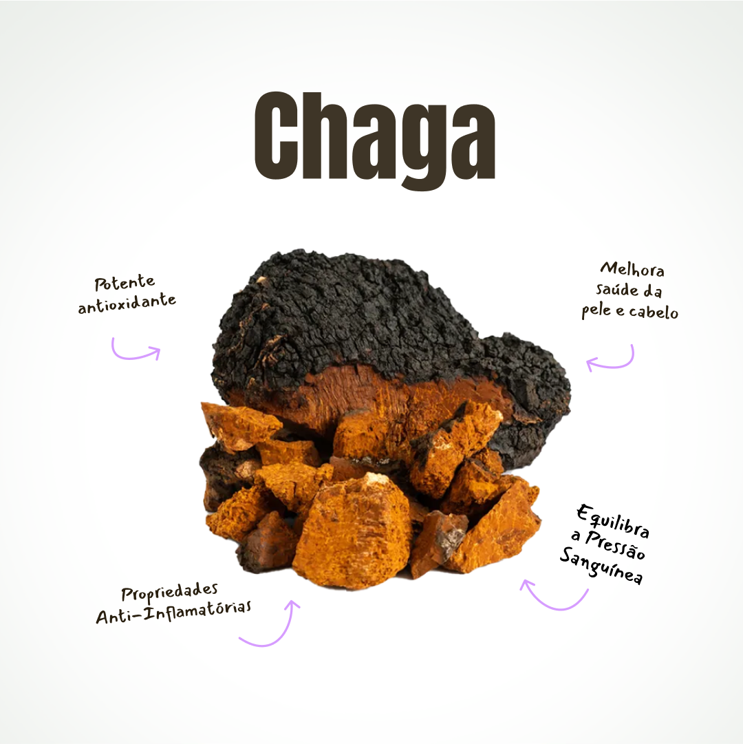 Cogumelo Chaga - Mushdrops® 30ml - Grupo Vip