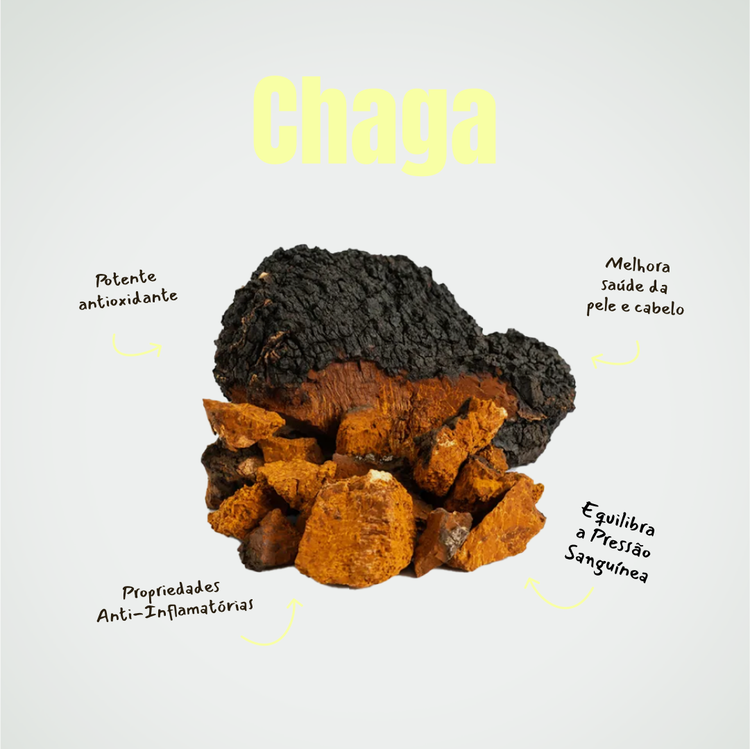 Cogumelo Chaga - Mushdrops® 30ml - Grupo Vip