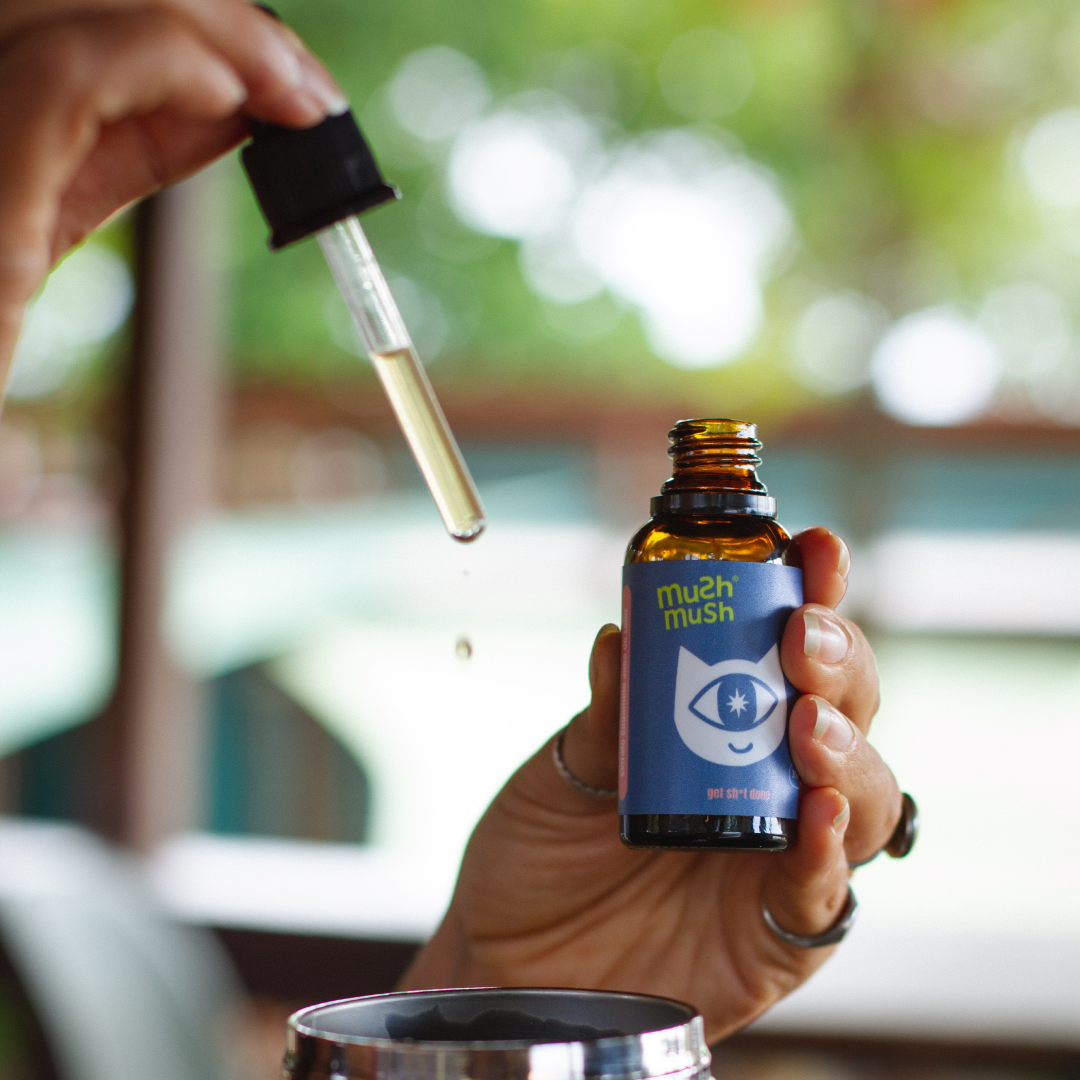 Essential Pack - 1 Juba de Leão + 1 Turkey Tail + 1 Cordyceps + 1 Chaga + 1 Reishi