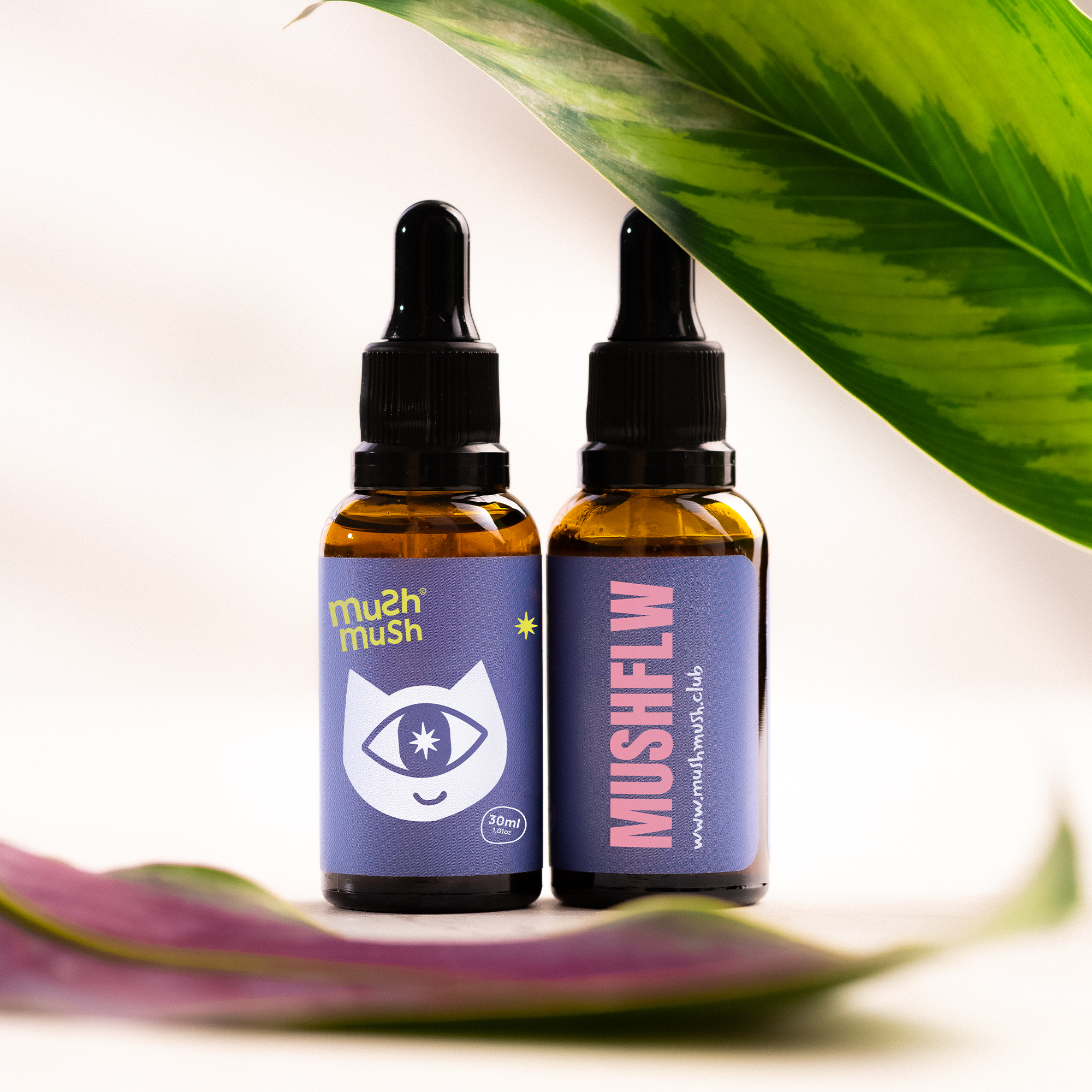 Balance Pack - 1 Reishi, 1 Cordyceps, 1 Juba de Leão