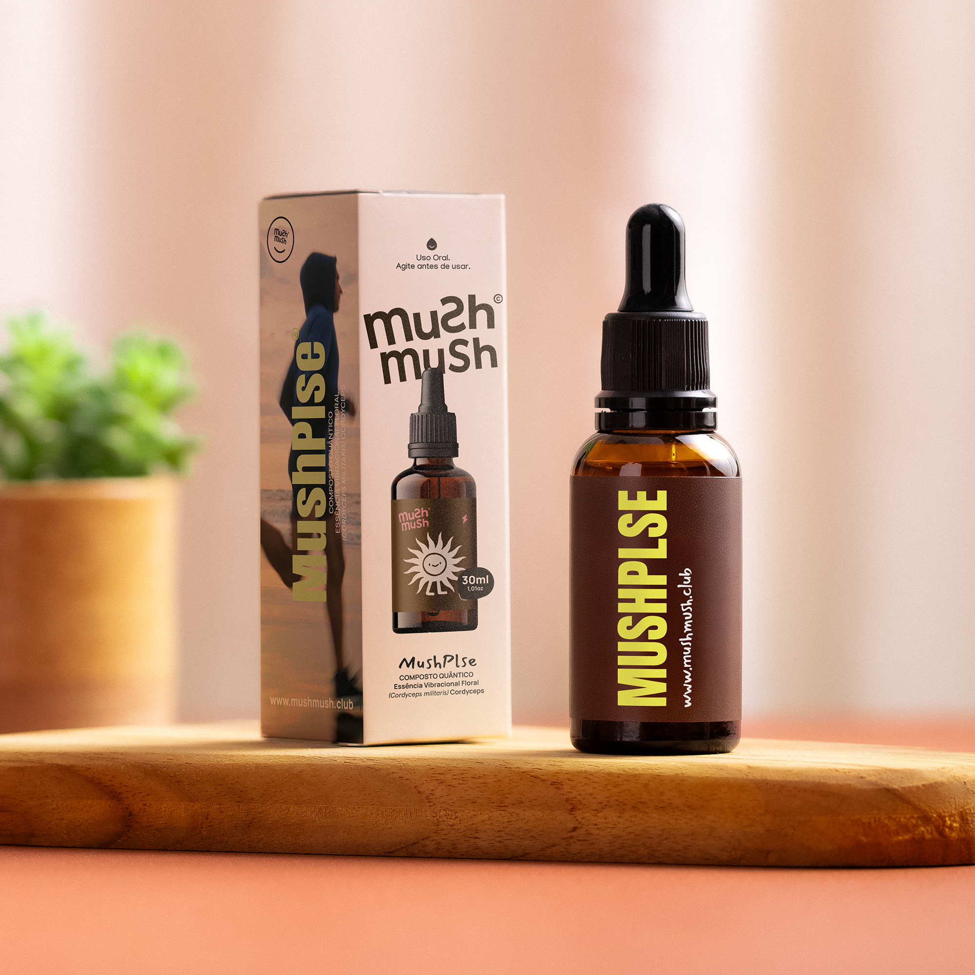 Balance Pack - 1 Reishi, 1 Cordyceps, 1 Juba de Leão