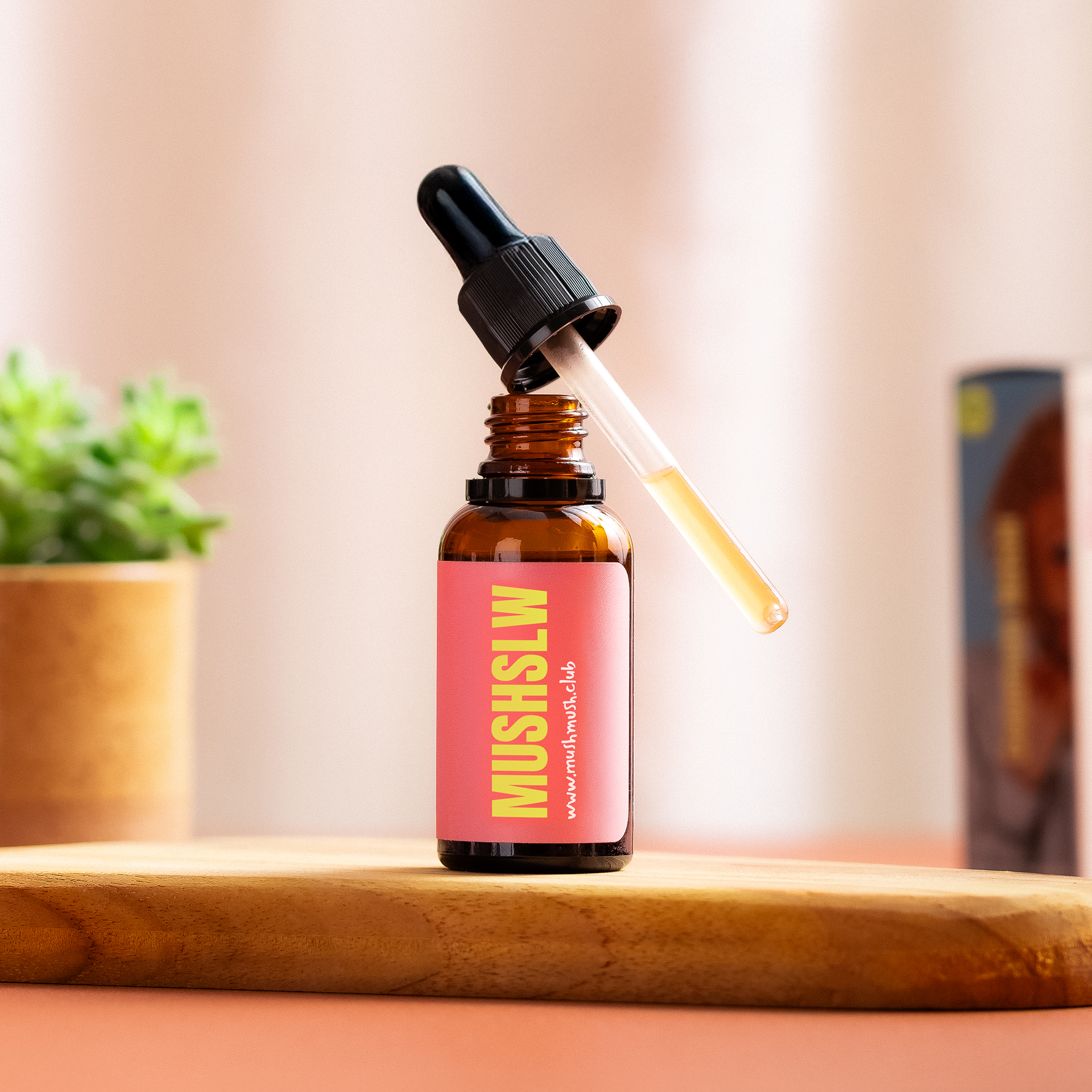 Essential Pack - 1 Juba de Leão + 1 Turkey Tail + 1 Cordyceps + 1 Chaga + 1 Reishi