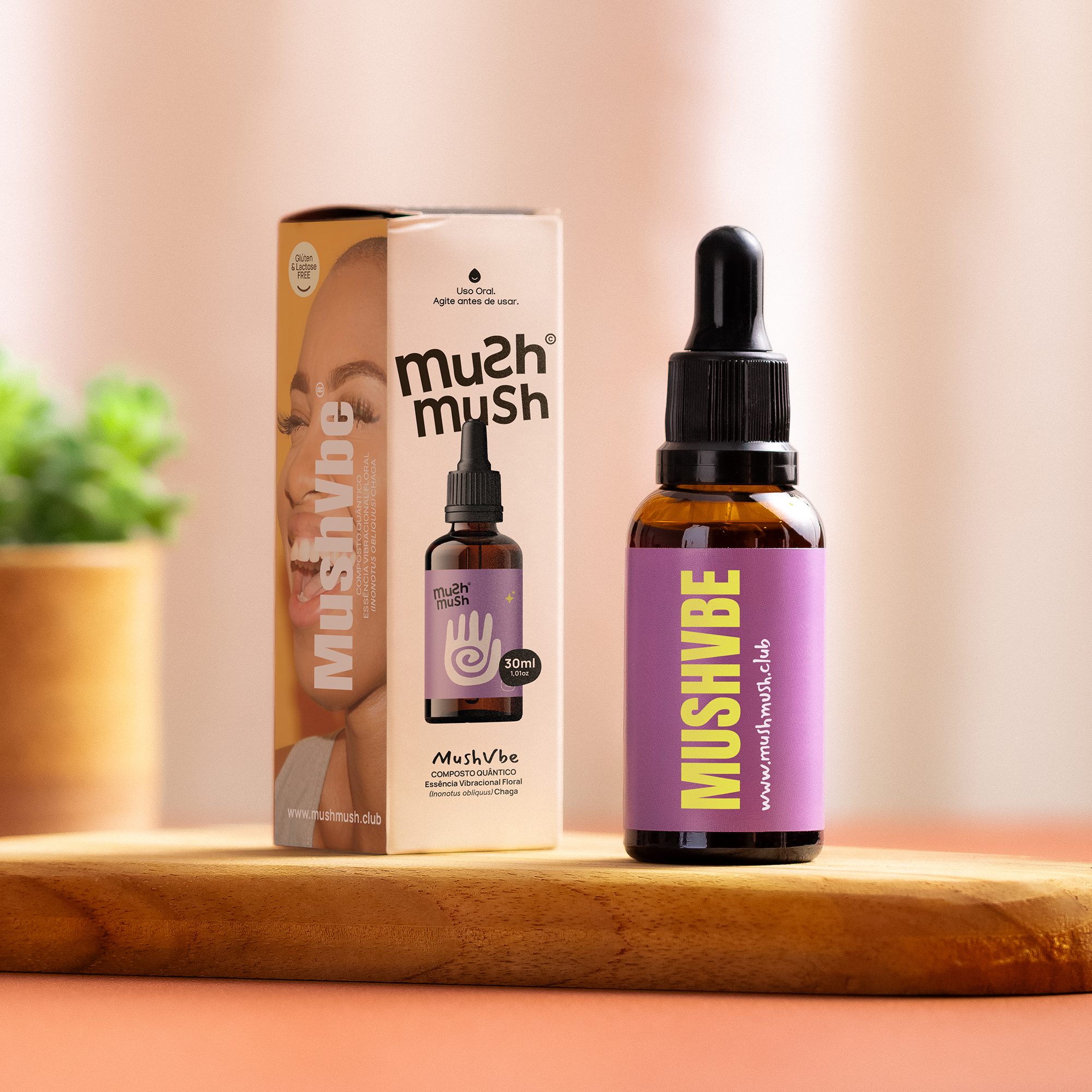 Essential Pack - 1 Juba de Leão + 1 Turkey Tail + 1 Cordyceps + 1 Chaga + 1 Reishi