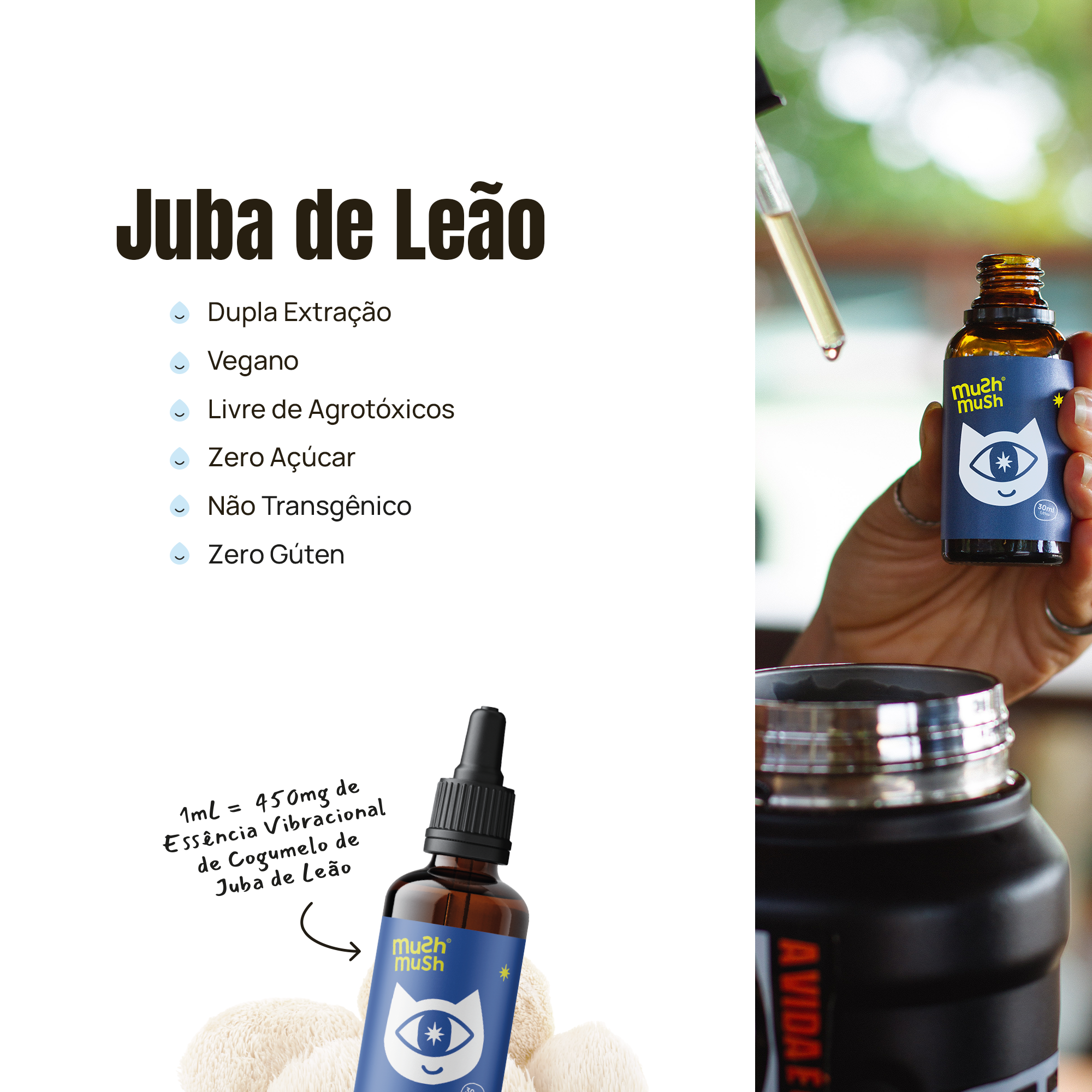 Productive Pack - 2 Juba de Leão + 1 Cordyceps - Grupo Vip