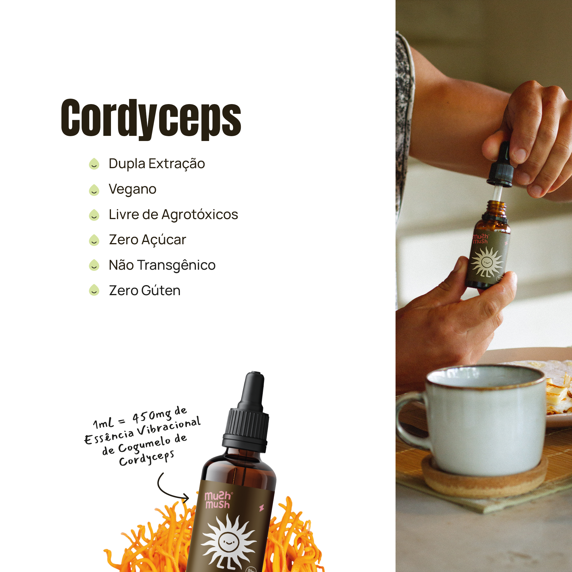 Productive Pack - 2 Juba de Leão + 1 Cordyceps - Grupo Vip
