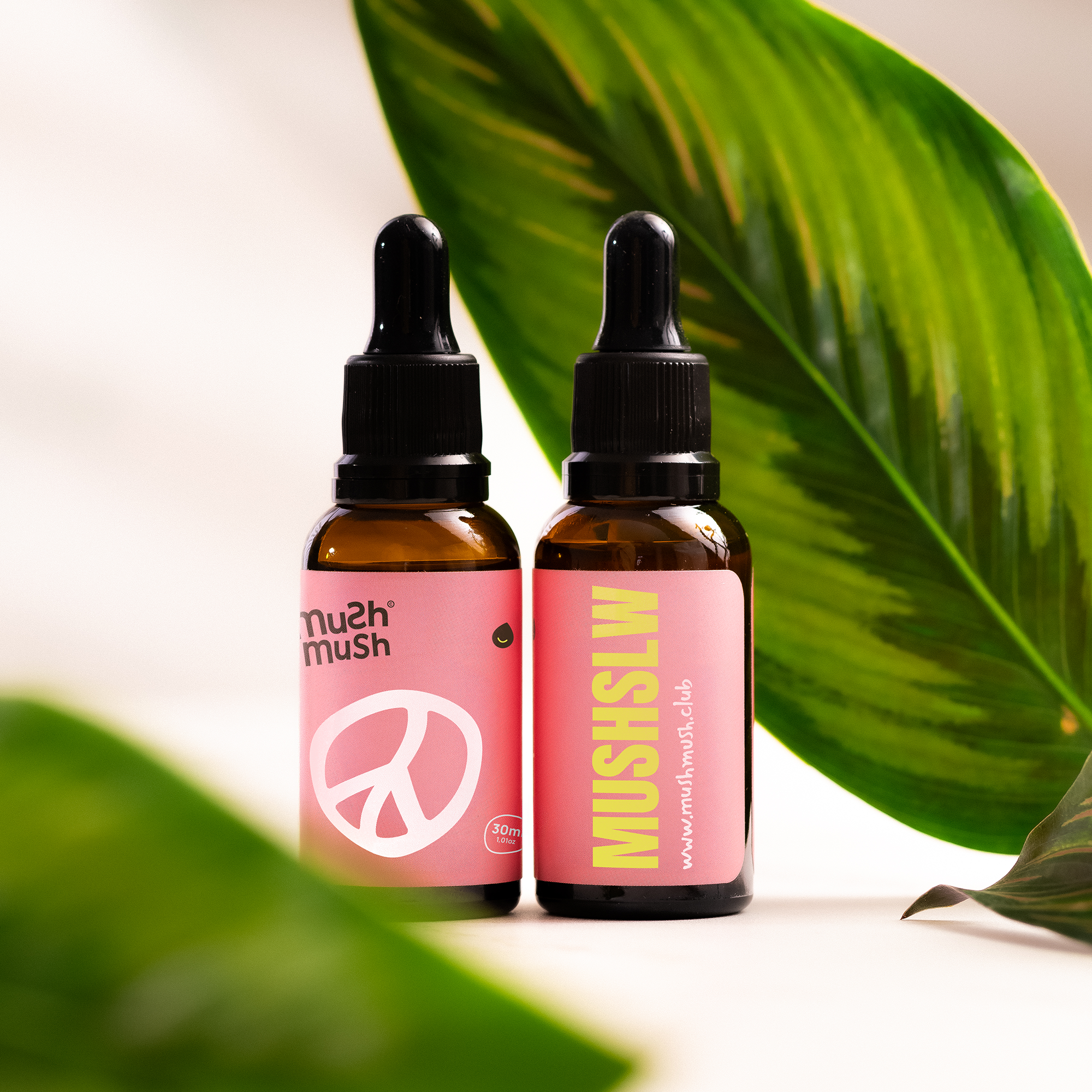 Cogumelo Reishi - Mushdrops® 30ml - Grupo Vip