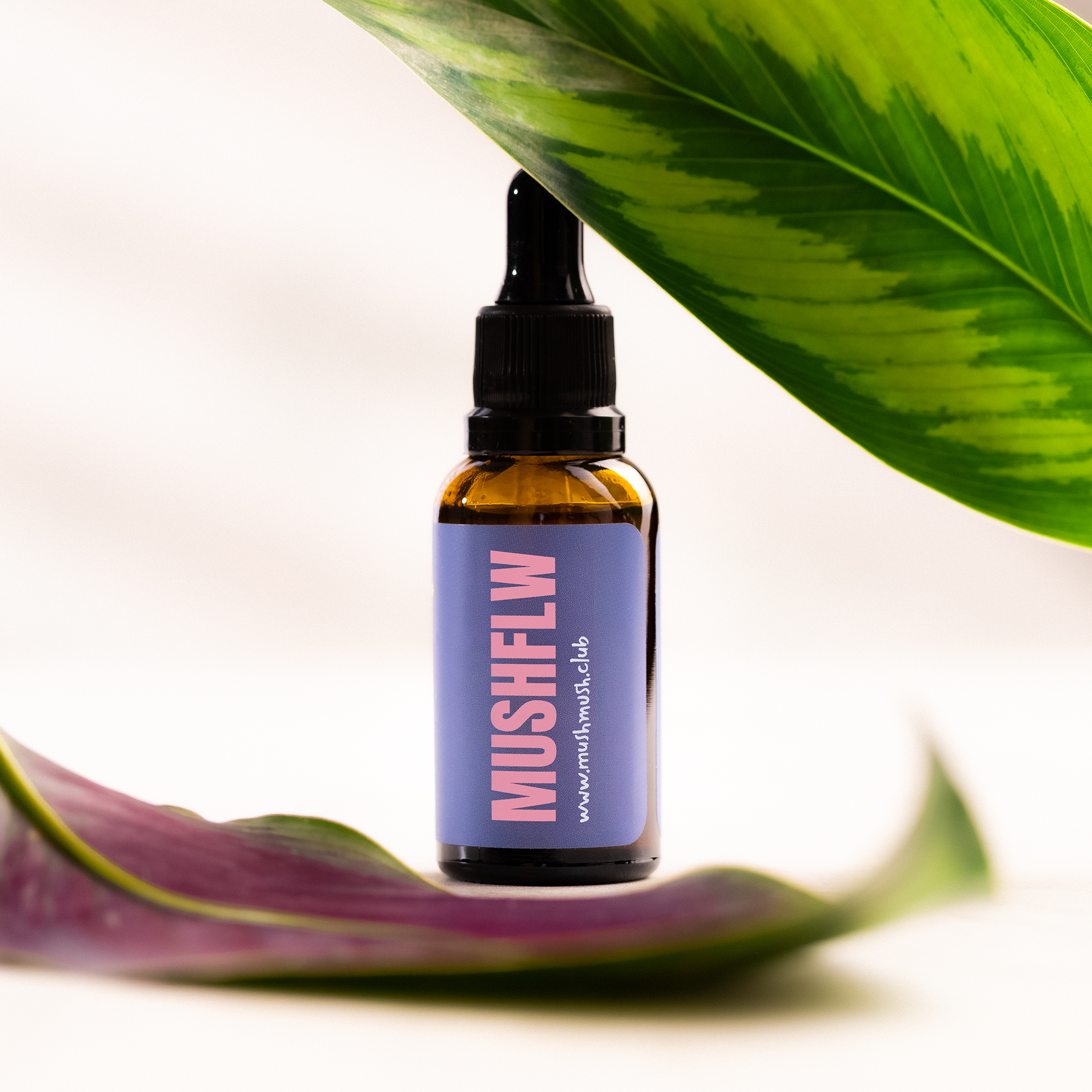 Relax Pack - 2 Reishi + 1 Juba de Leão - Grupo Vip