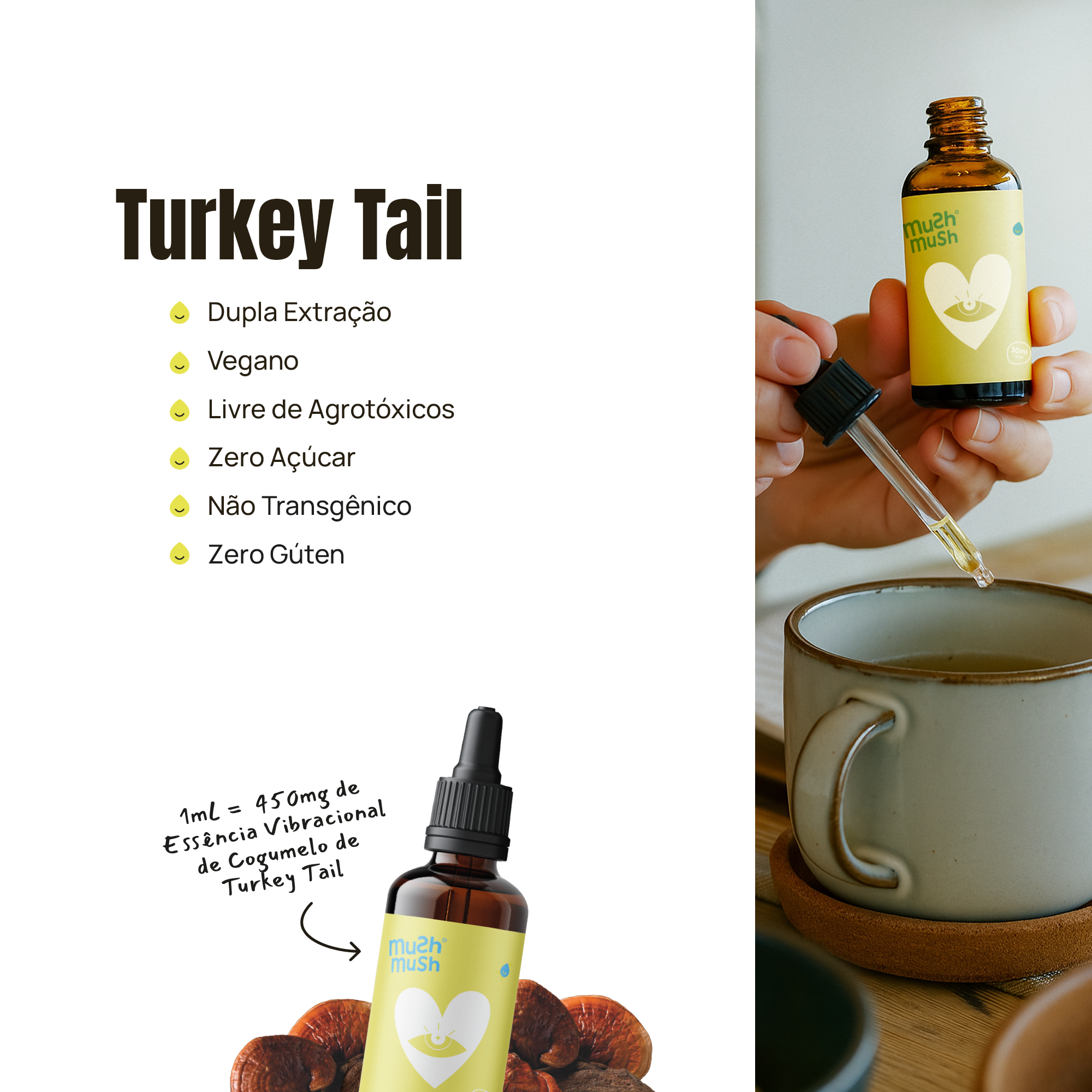 Cogumelo Turkey Tail - Mushdrops® 30ml