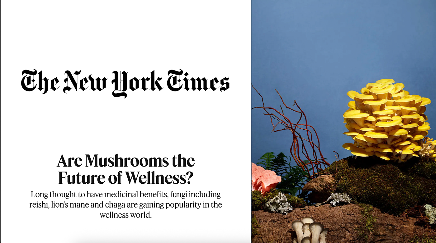 Os cogumelos são o futuro do bem-estar? - por The New York Times