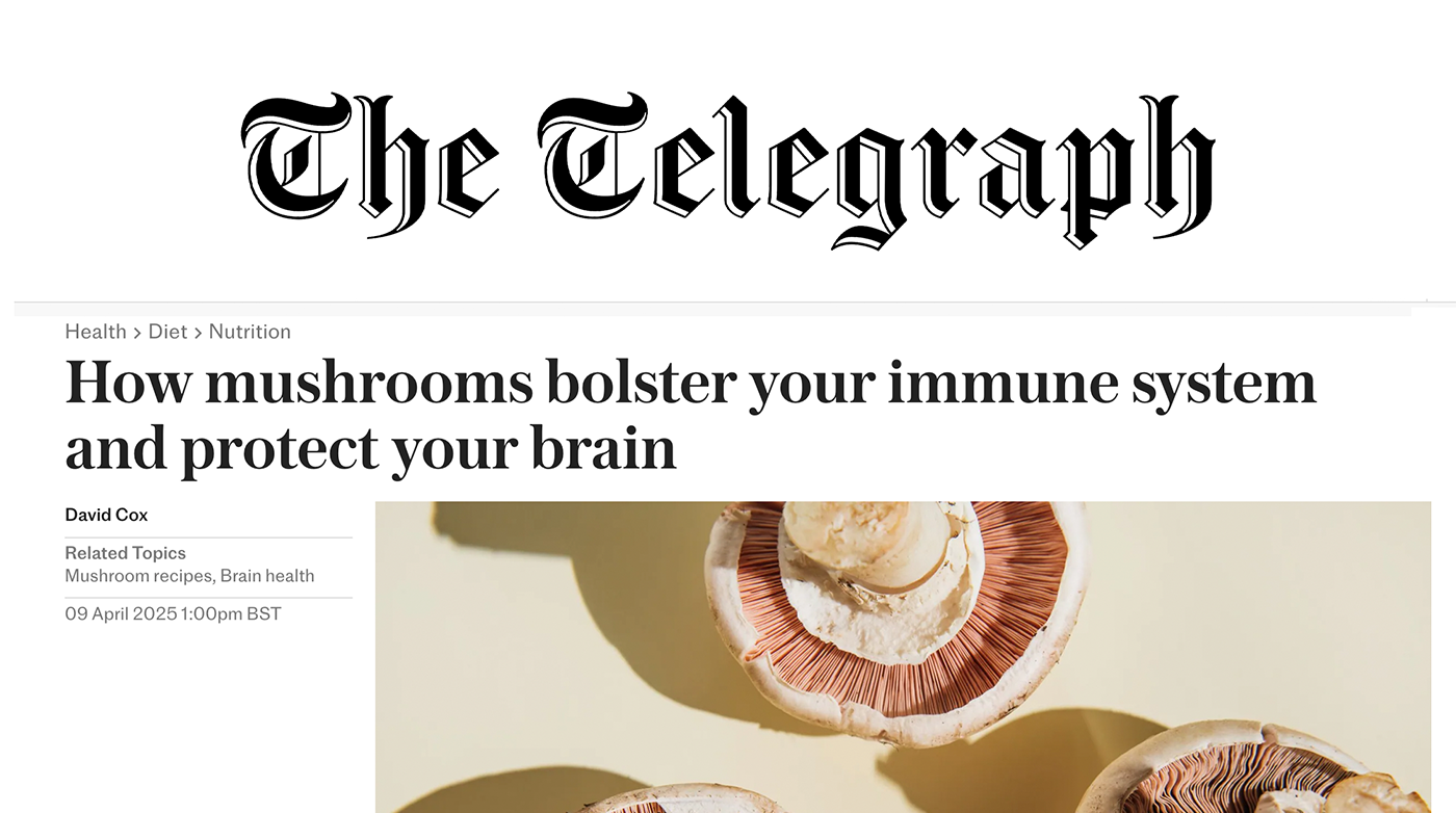 Como os cogumelos fortalecem o sistema imunológico e protegem o cérebro - por Telegraph UK