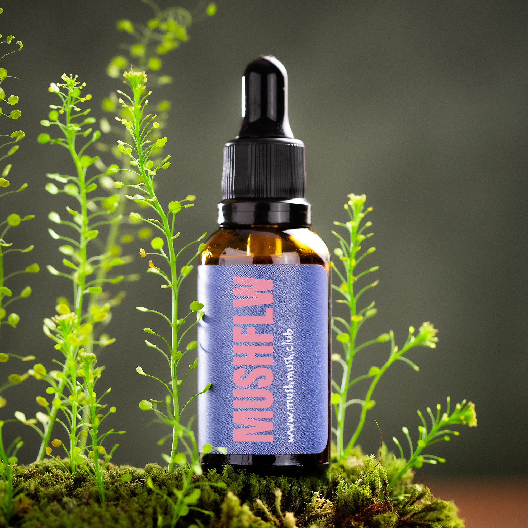 Cogumelo Juba de Leão - Mushdrops® 30ml