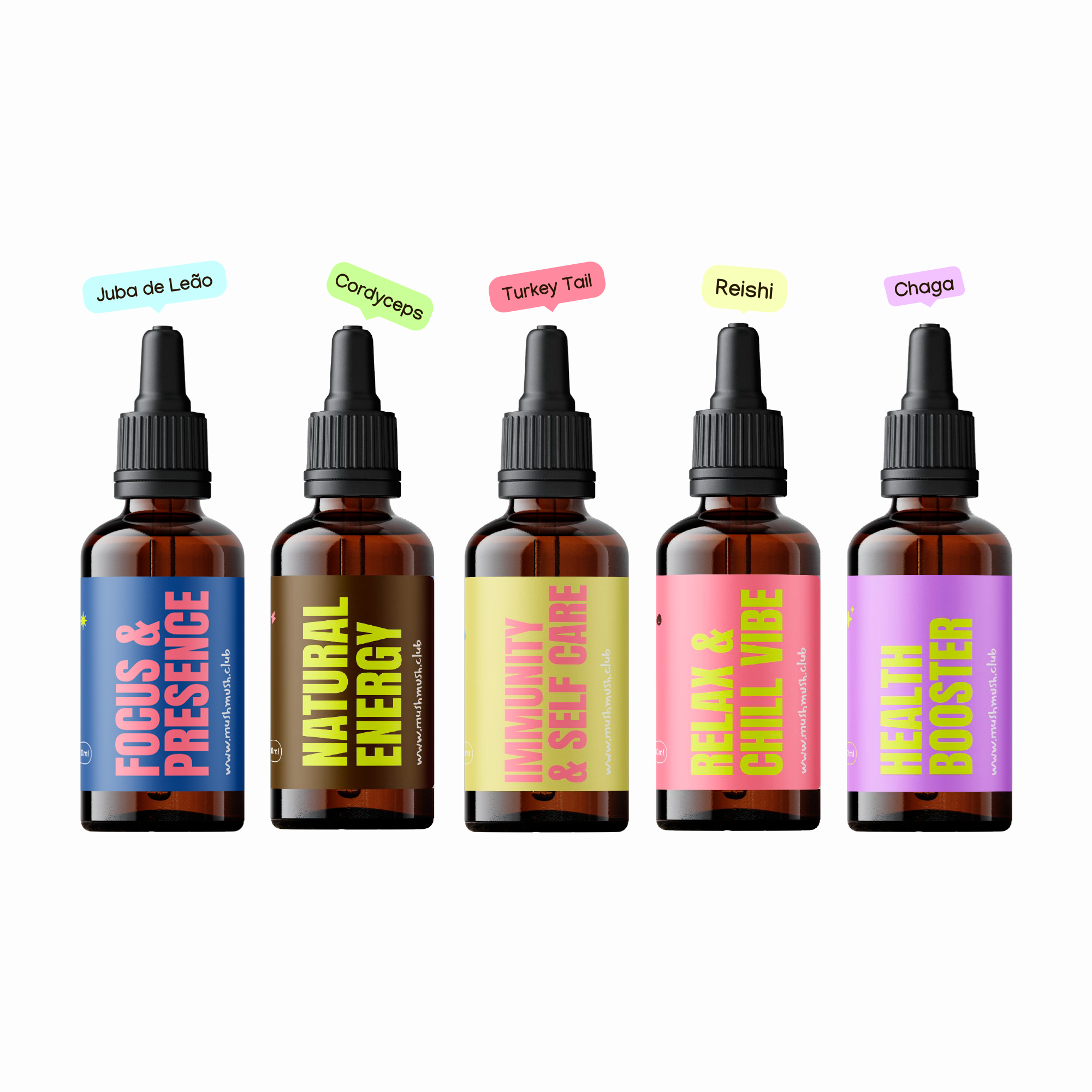 Essential Pack - 1 Juba de Leão + 1 Turkey Tail + 1 Cordyceps + 1 Chaga + 1 Reishi