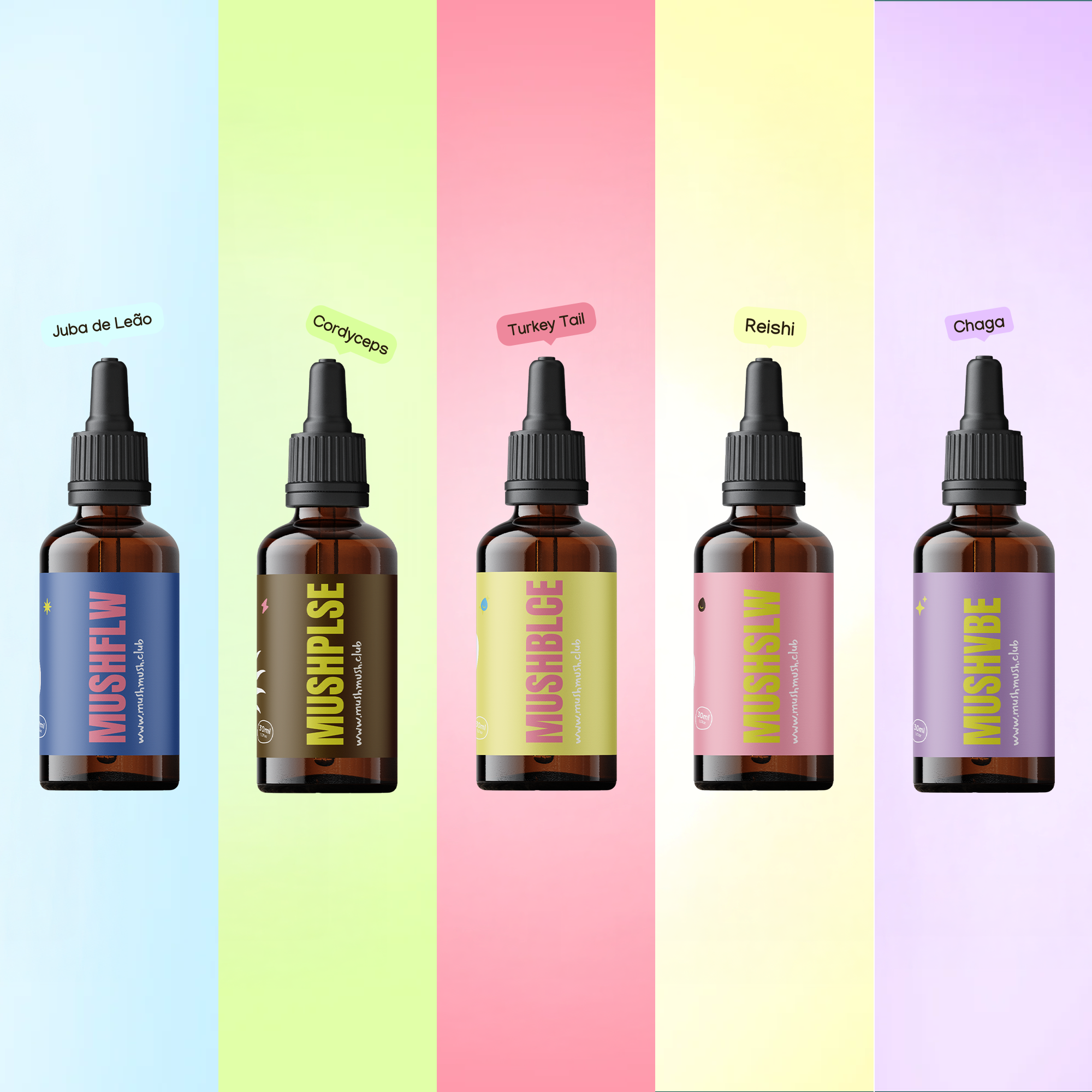 Essential Pack - 1 Juba de Leão + 1 Turkey Tail + 1 Cordyceps + 1 Chaga + 1 Reishi