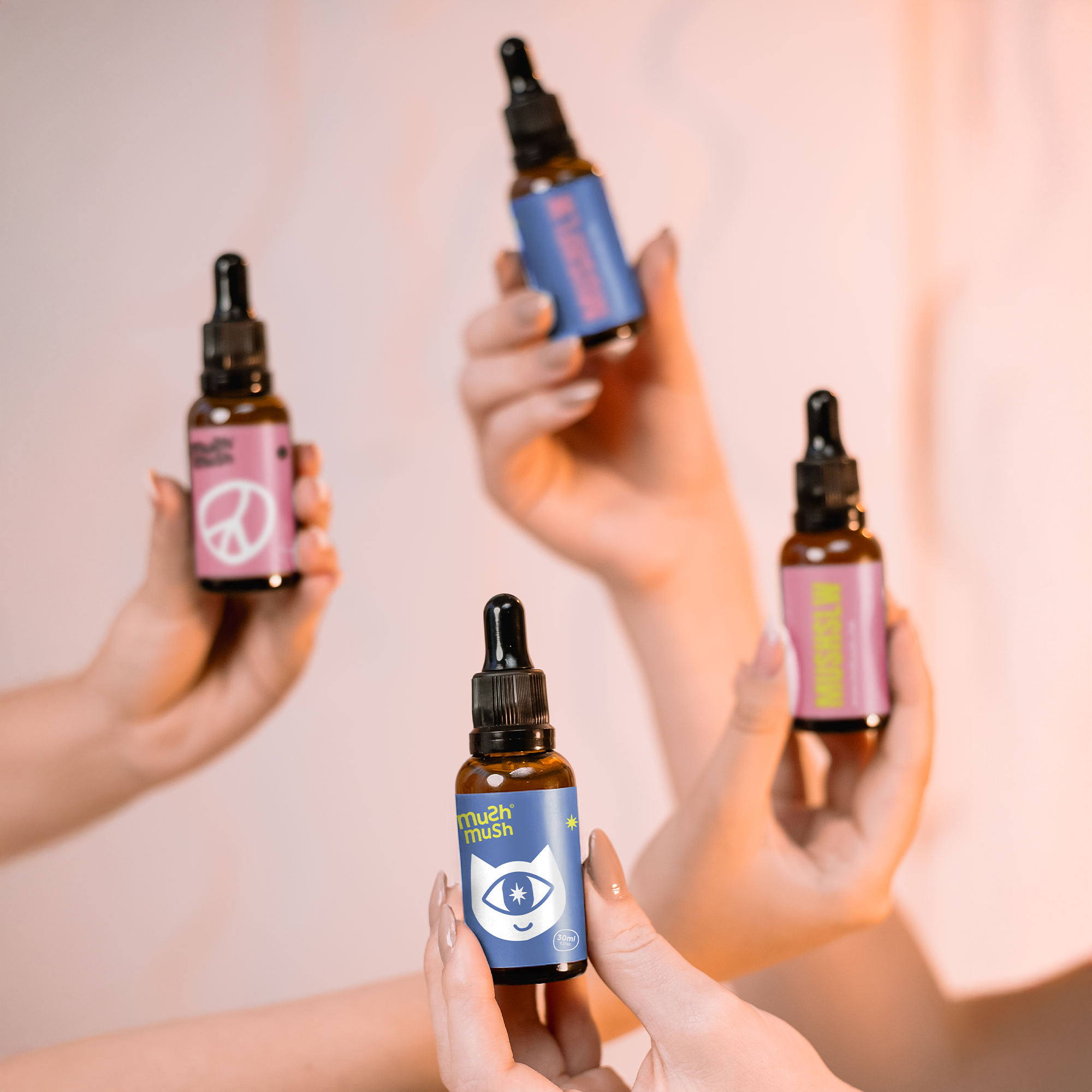 Essential Pack - 1 Juba de Leão + 1 Turkey Tail + 1 Cordyceps + 1 Chaga + 1 Reishi