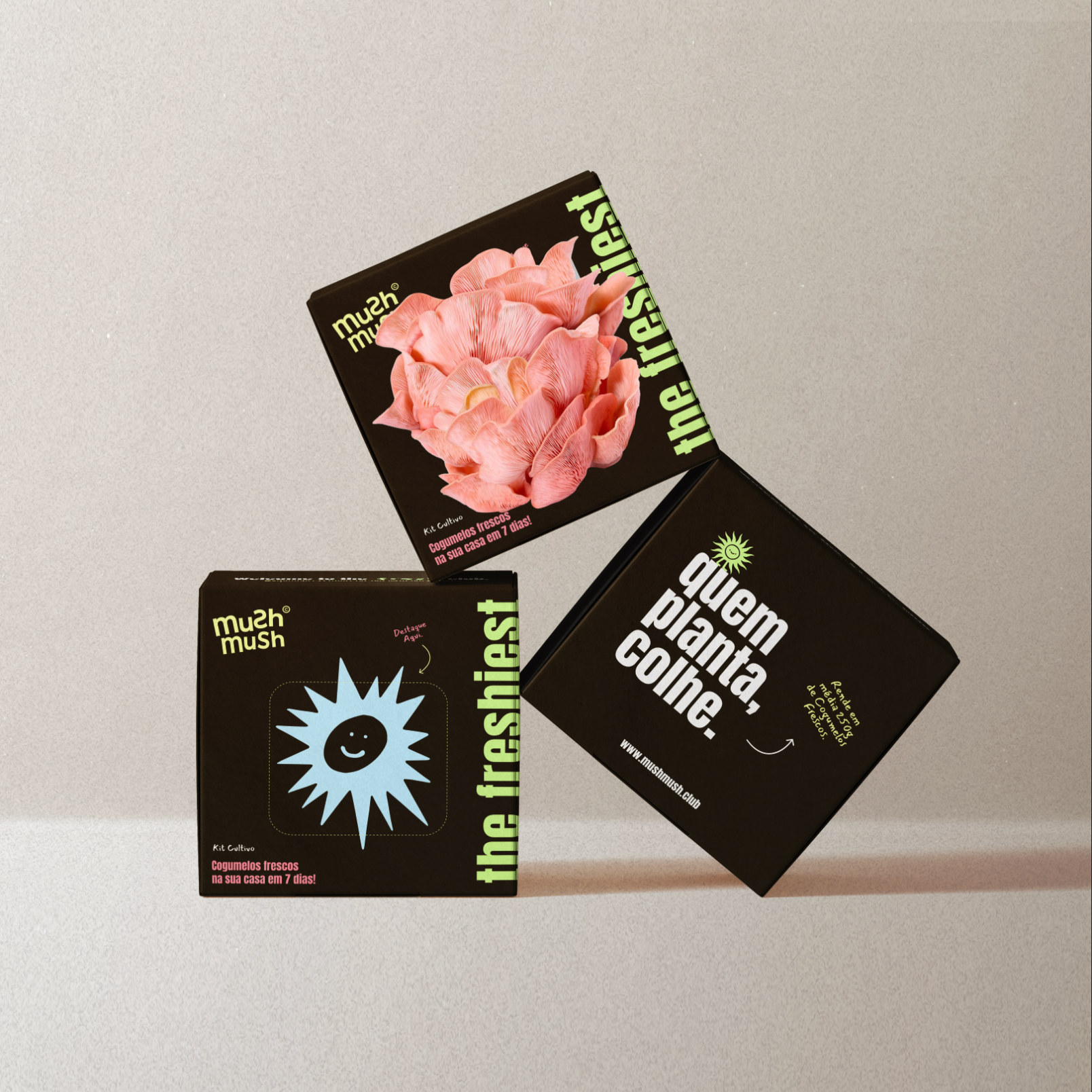 The Freshest® - Cogumelo para Cultivo em Casa